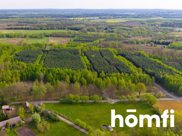 Duża działka z potencjałem, cisza i spokój-Jaźwiny - Działka - Sprzedaż - Trzebnicki, Trzebnica / Jaźwiny