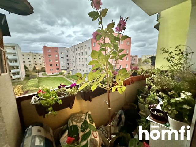 Spacious 3 room apartment - Fordon - Apartment - Sale - Bydgoszcz, Fordon