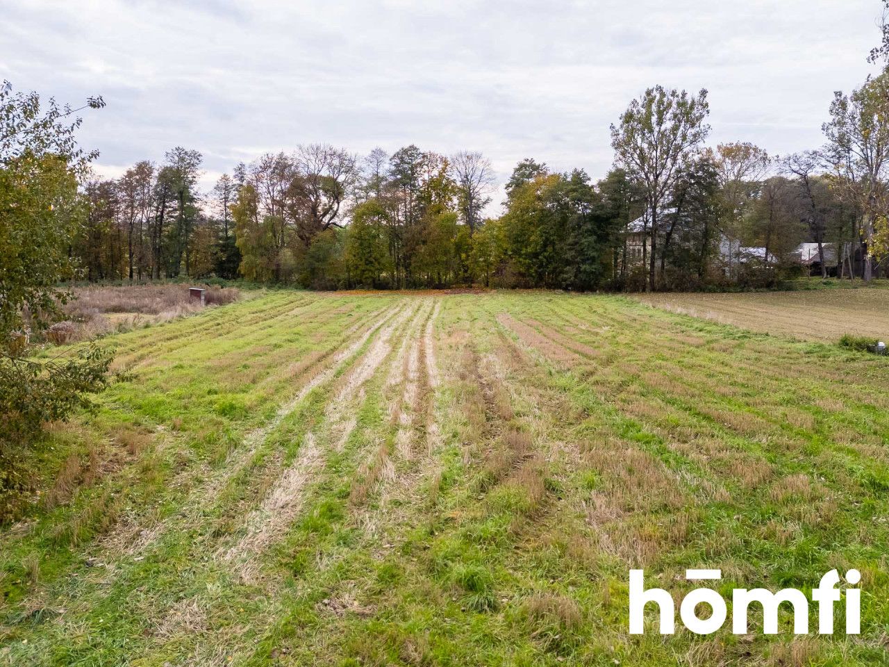 Widoki, spokój i natura – działka czeka - Działka - Sprzedaż - Miechowski, Gołcza / Wysocice