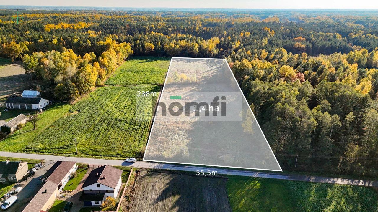 agricultural and construction plot in a very quiet village area - Plot - Sale - Lipski, Ciepielów / Wólka Dąbrowska