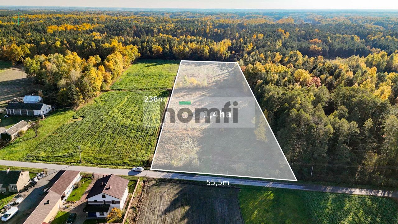 agricultural and construction plot in a very quiet village area - Plot - Sale - Lipski, Ciepielów / Wólka Dąbrowska