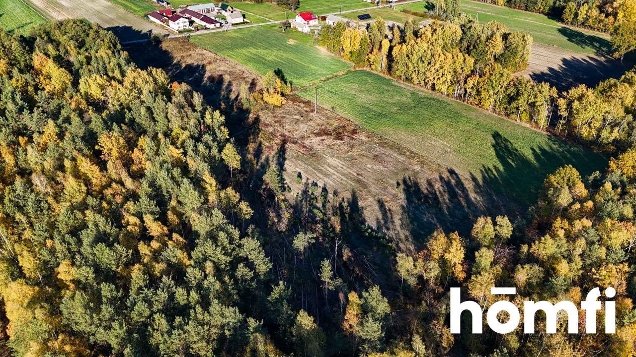 agricultural and construction plot in a very quiet village area - Plot - Sale - Lipski, Ciepielów / Wólka Dąbrowska
