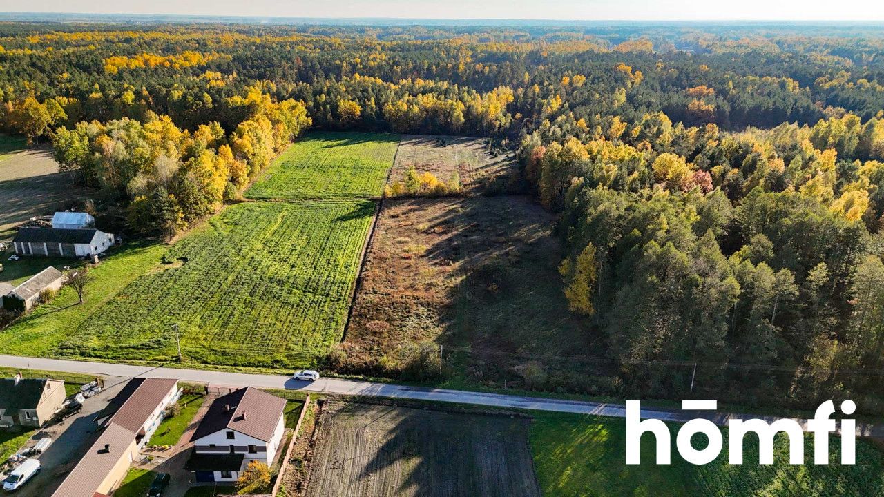 agricultural and construction plot in a very quiet village area - Plot - Sale - Lipski, Ciepielów / Wólka Dąbrowska