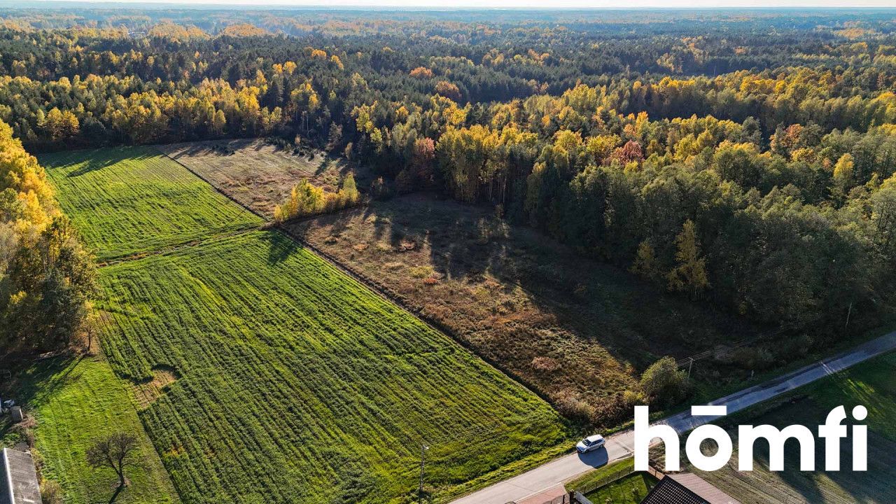 agricultural and construction plot in a very quiet village area - Plot - Sale - Lipski, Ciepielów / Wólka Dąbrowska