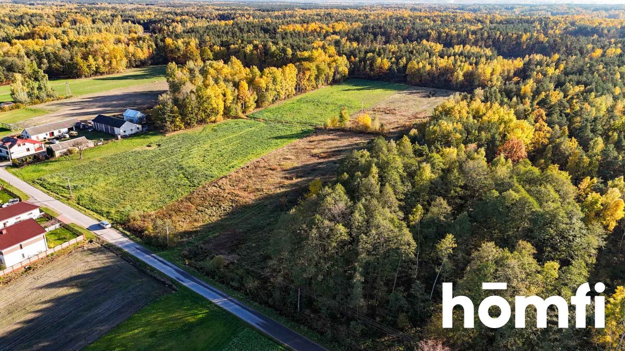 agricultural and construction plot in a very quiet village area - Plot - Sale - Lipski, Ciepielów / Wólka Dąbrowska