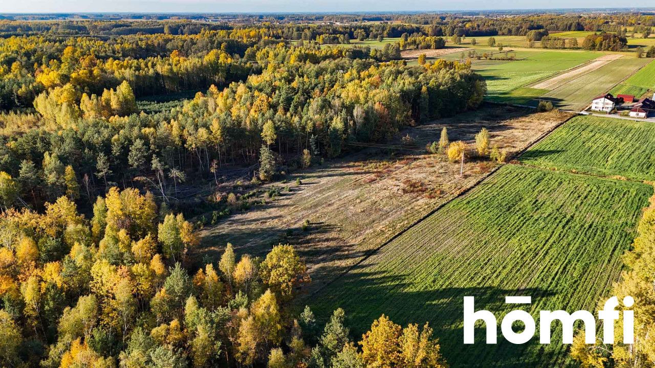 agricultural and construction plot in a very quiet village area - Plot - Sale - Lipski, Ciepielów / Wólka Dąbrowska