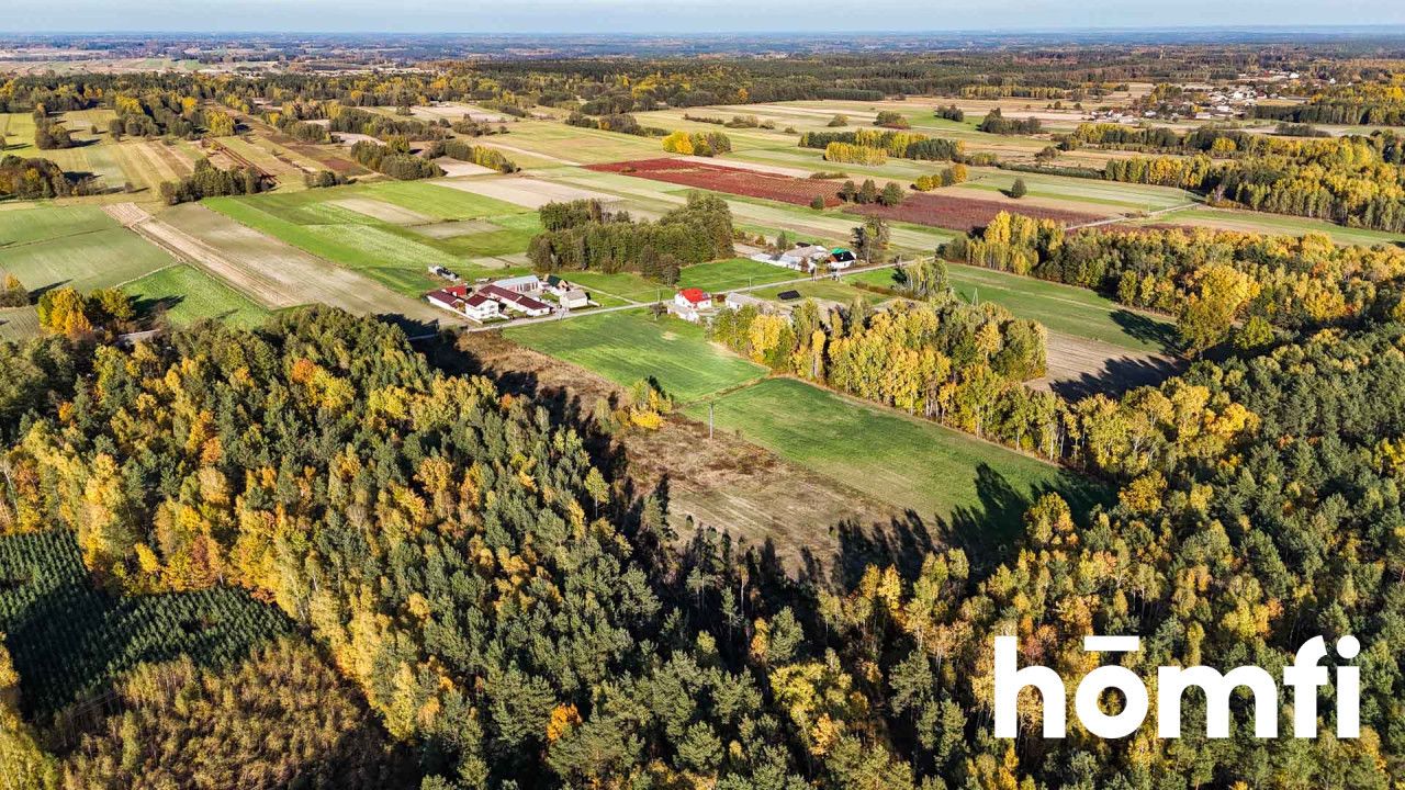 agricultural and construction plot in a very quiet village area - Plot - Sale - Lipski, Ciepielów / Wólka Dąbrowska