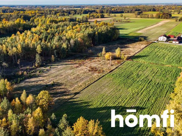 Działka rolno-budowlana w bardzo spokojnej, wiejskiej, okolicy - Działka - Sprzedaż - Lipski, Ciepielów / Wólka Dąbrowska
