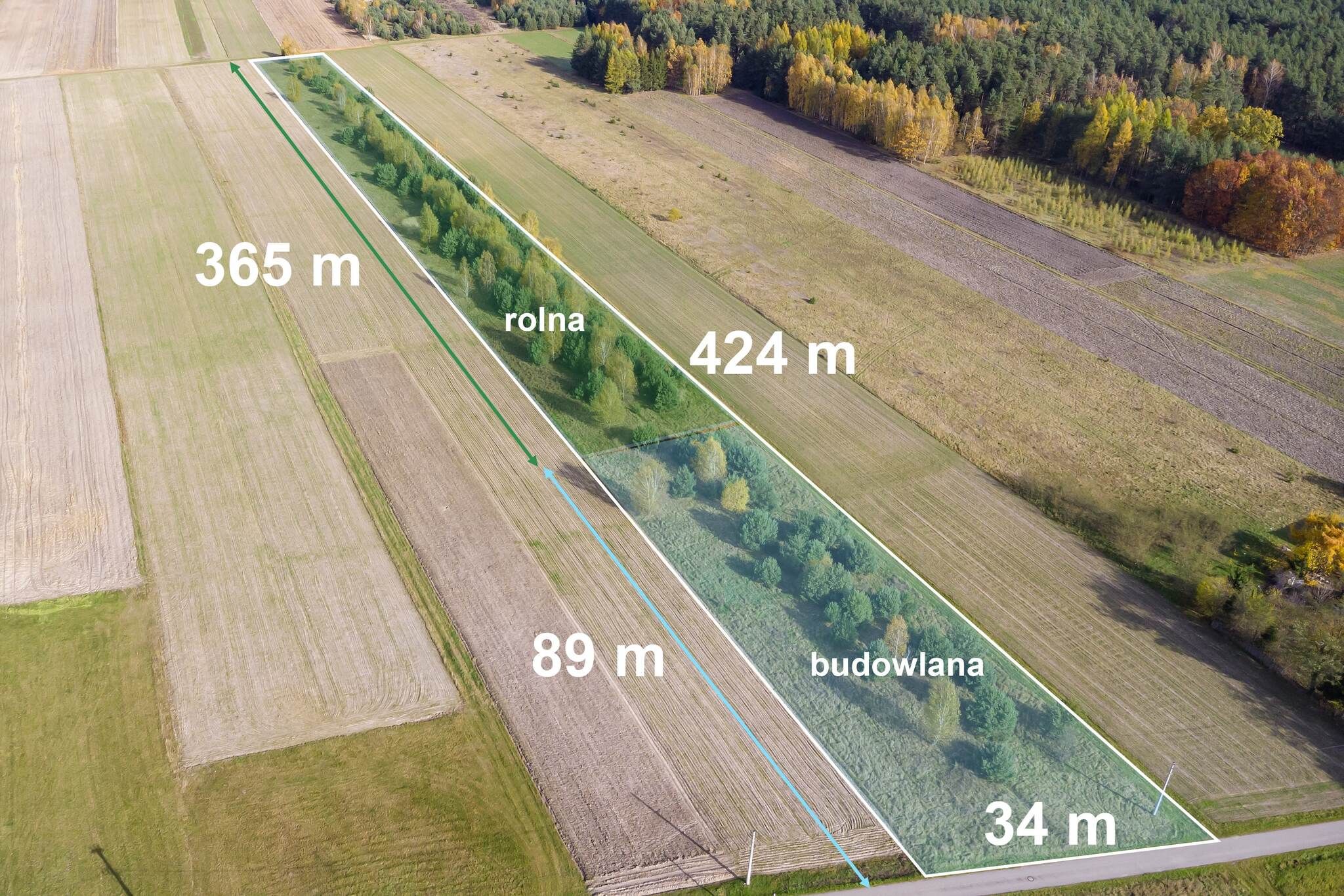 Działka z warunkami zabudowy, 20 km od Kielc - Działka - Sprzedaż - Kielecki, Pierzchnica / Skrzelczyce