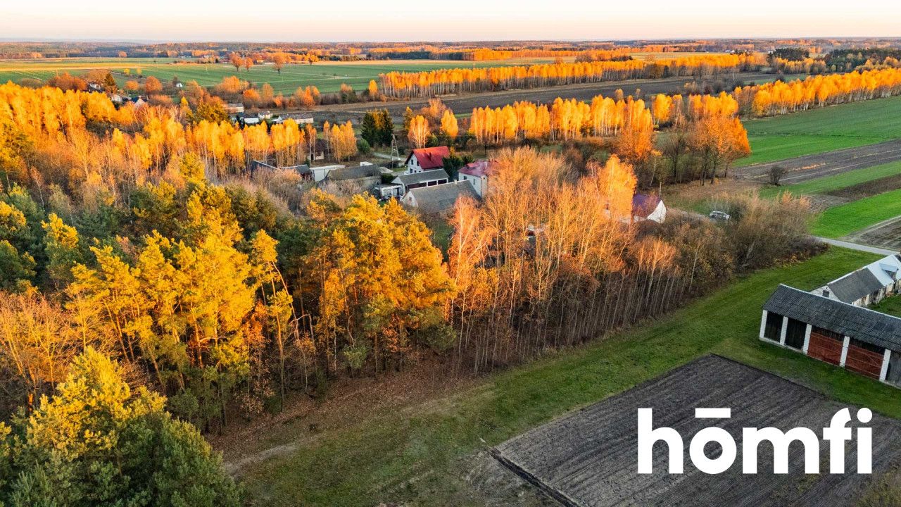 Działka w spokojnej okolicy, miejsce na Twój dom - Działka - Sprzedaż - Lipski, Chotcza / Siekierka Nowa