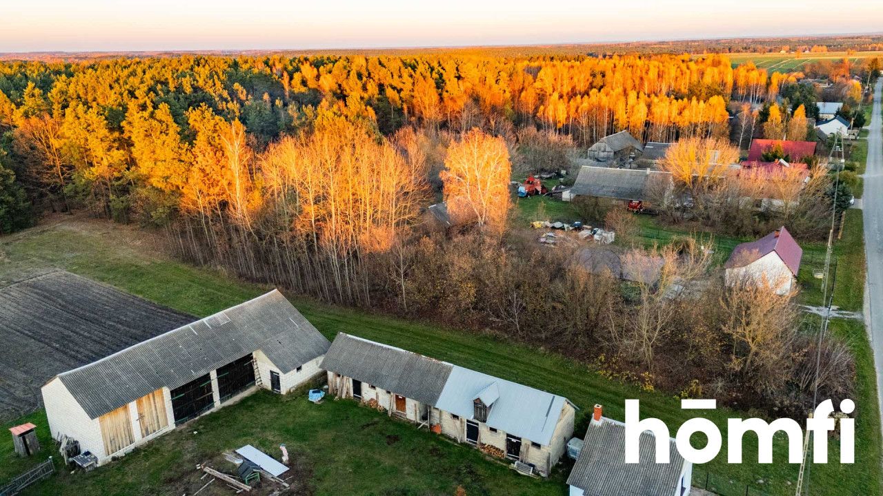 Działka w spokojnej okolicy, miejsce na Twój dom - Działka - Sprzedaż - Lipski, Chotcza / Siekierka Nowa