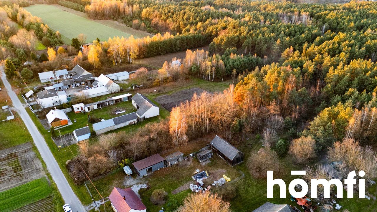 Działka w spokojnej okolicy, miejsce na Twój dom - Działka - Sprzedaż - Lipski, Chotcza / Siekierka Nowa