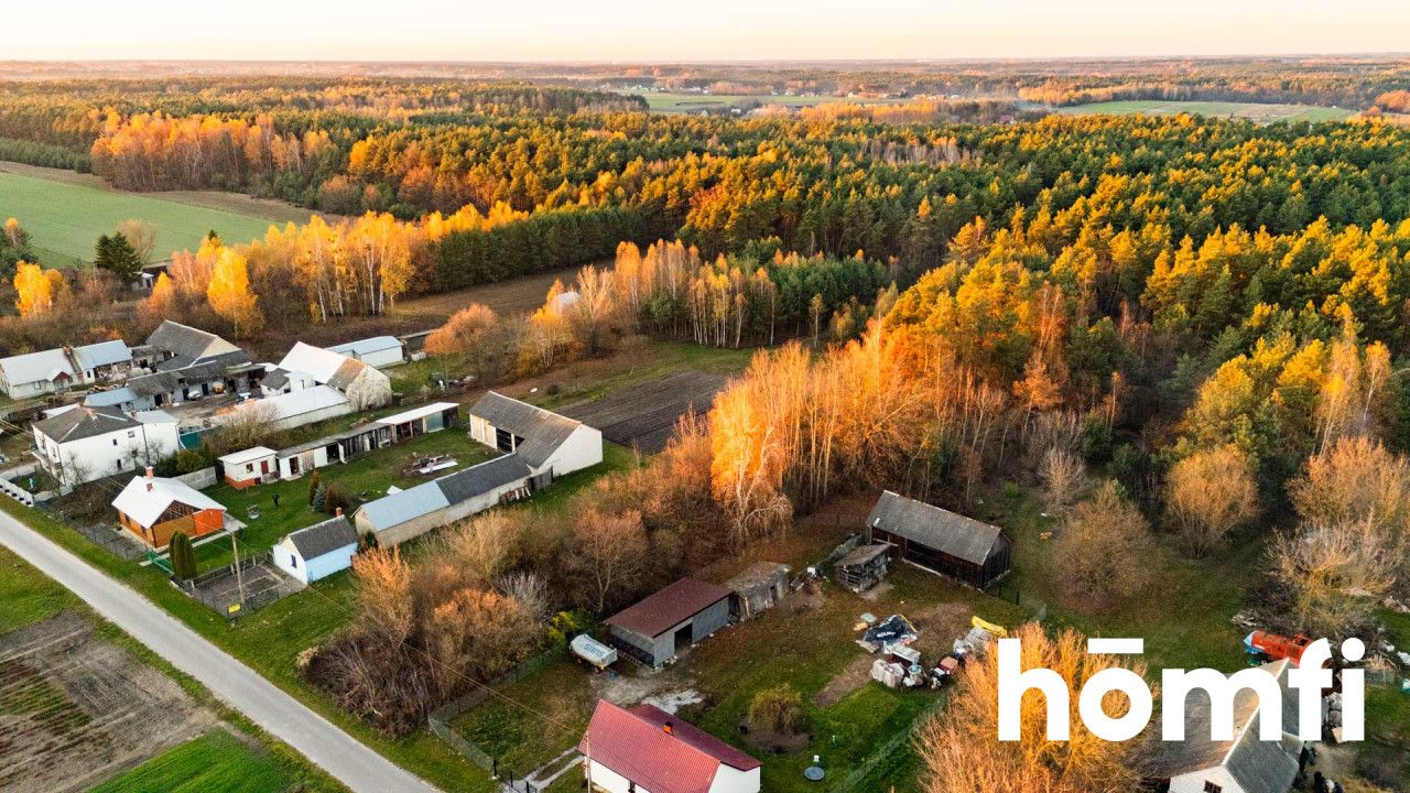 Działka w spokojnej okolicy, miejsce na Twój dom - Działka - Sprzedaż - Lipski, Chotcza / Siekierka Nowa