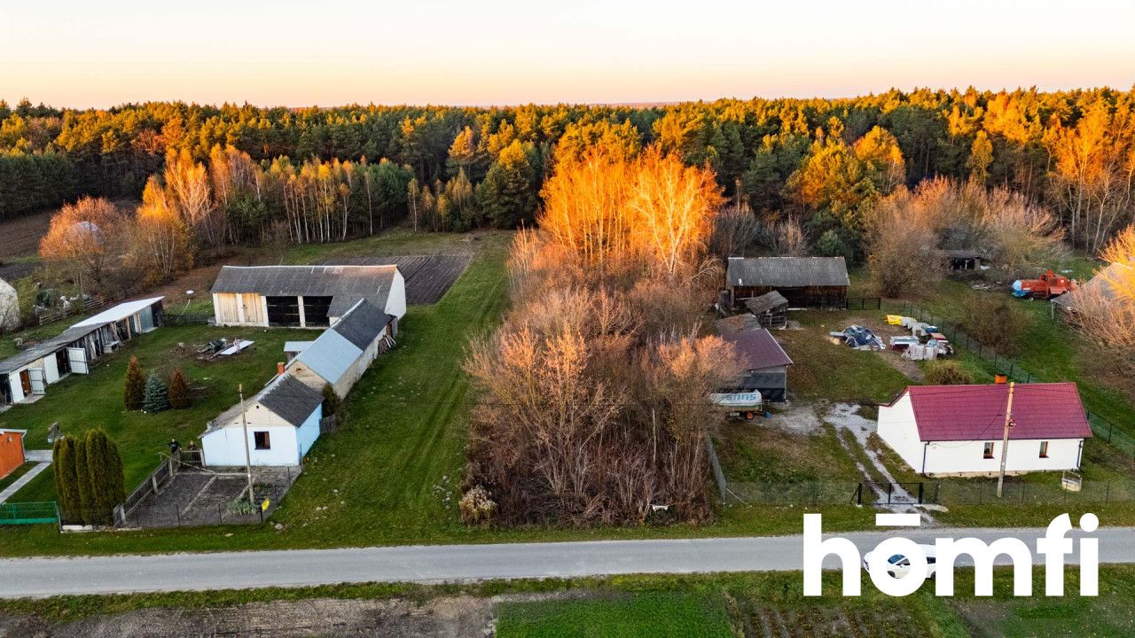 Działka w spokojnej okolicy, miejsce na Twój dom - Działka - Sprzedaż - Lipski, Chotcza / Siekierka Nowa