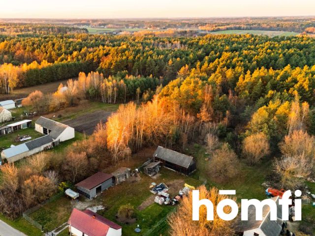 Działka w spokojnej okolicy, miejsce na Twój dom - Działka - Sprzedaż - Lipski, Chotcza / Siekierka Nowa