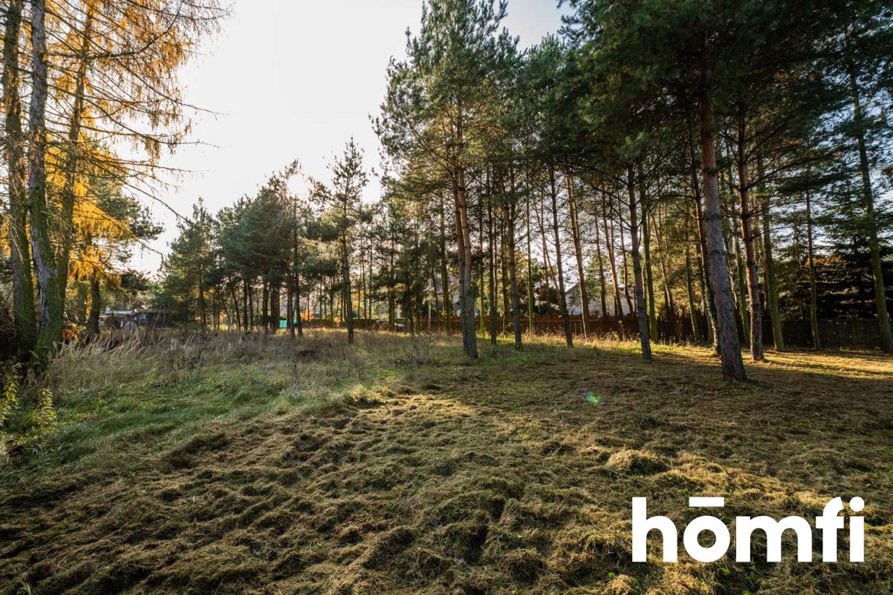 Dom w otoczeniu drzew - Dom - Sprzedaż - Radomski, Jedlnia-Letnisko / Antoniówka