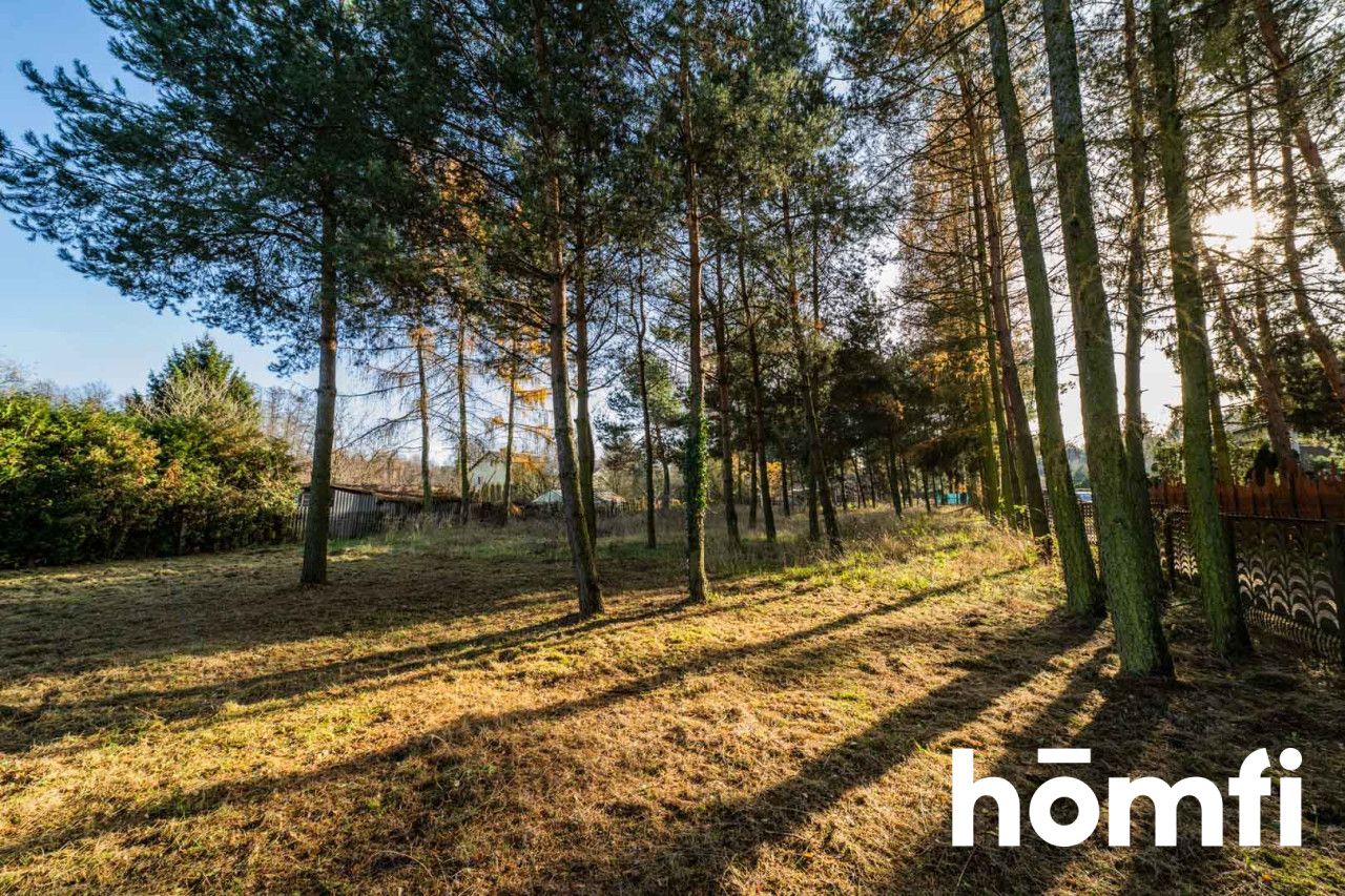 Dom w otoczeniu drzew - Dom - Sprzedaż - Radomski, Jedlnia-Letnisko / Antoniówka