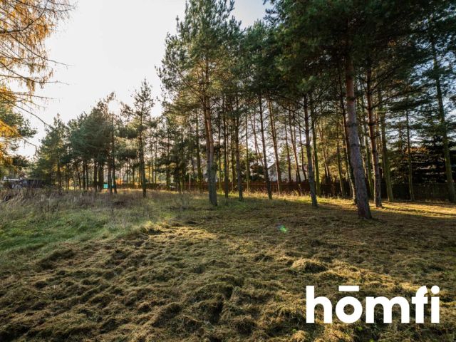 Dom w otoczeniu drzew - Dom - Sprzedaż - Radomski, Jedlnia-Letnisko / Antoniówka