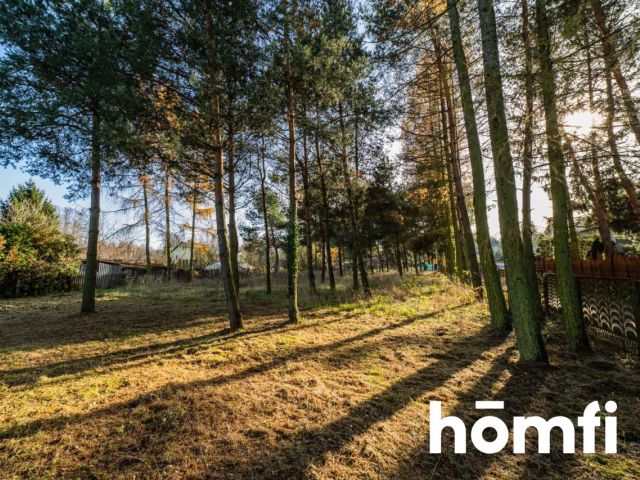 Dom w otoczeniu drzew - Dom - Sprzedaż - Radomski, Jedlnia-Letnisko / Antoniówka