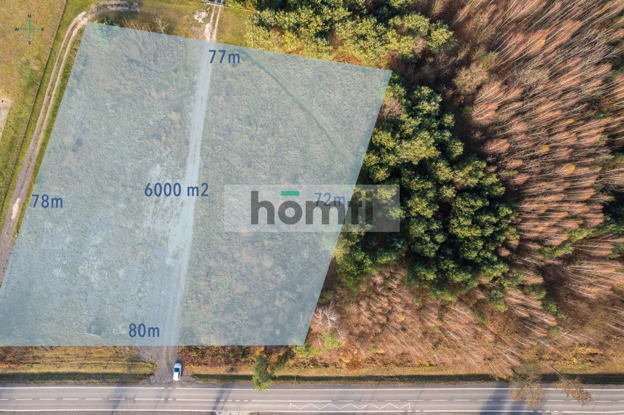 kształtne 0.6h przy DW719 | produkcja i usługi - Działka - Sprzedaż - Żyrardowski, Puszcza Mariańska / Nowy Karolinów