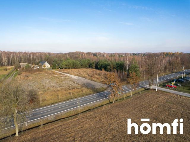 kształtne 0.6h przy DW719 | produkcja i usługi - Działka - Sprzedaż - Żyrardowski, Puszcza Mariańska / Nowy Karolinów