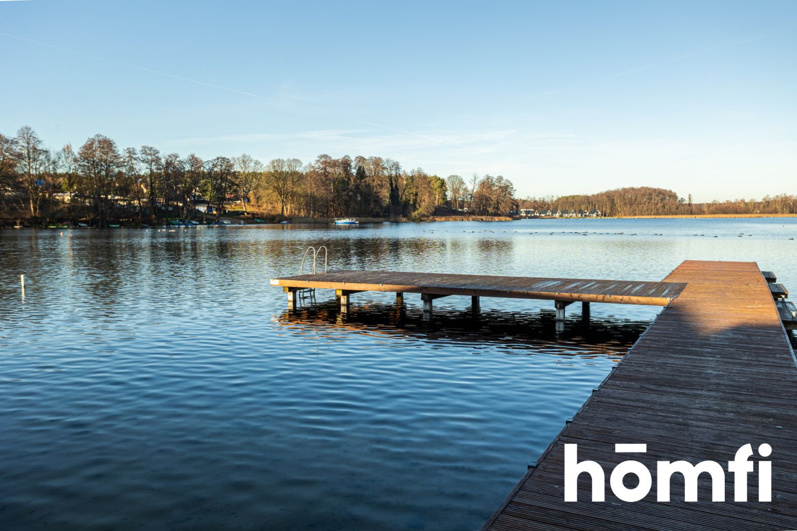 building plot by Lake Niesłysz, forest view - Plot - Sale - Świebodziński, Lubrza / Przełazy