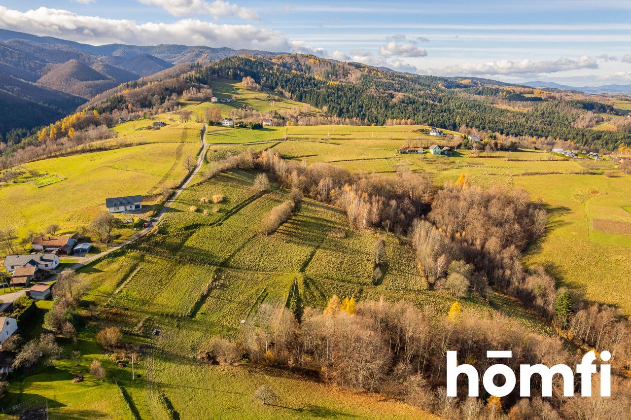 Scenic agricultural and construction plot Rytro 30 areas - Ділянка - Продаж - Nowosądecki, Rytro