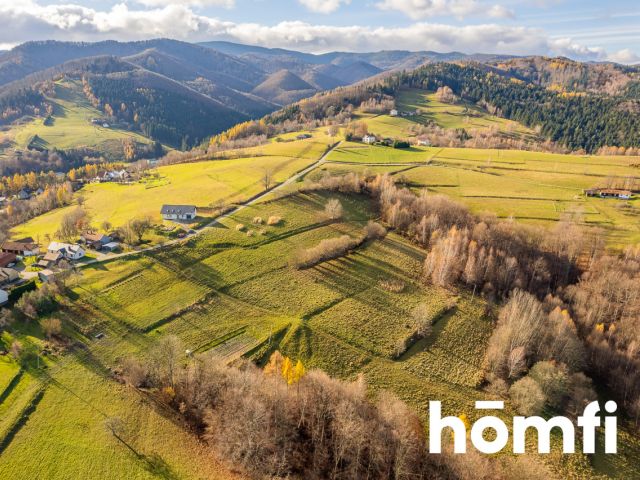 Widokowa działka rolno-budowlana Rytro 30 ar - Działka - Sprzedaż - Nowosądecki, Rytro