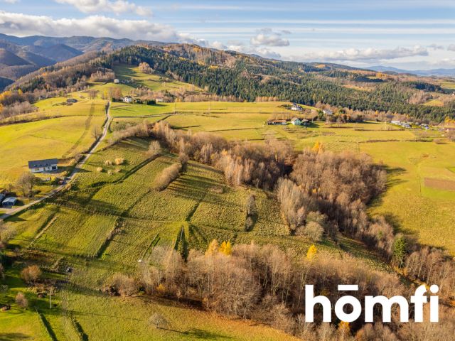 Widokowa działka rolno-budowlana Rytro 30 ar - Działka - Sprzedaż - Nowosądecki, Rytro