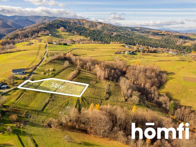 Widokowa działka rolno-budowlana Rytro 30 ar - Działka - Sprzedaż - Nowosądecki, Rytro