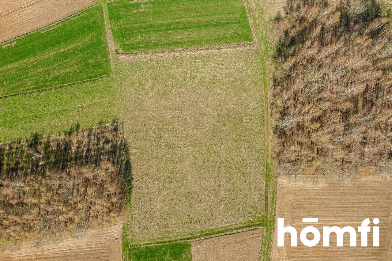 Large plot in a green, scenic area - Ділянка - Продаж - Ropczycko-Sędziszowski, Sędziszów Małopolski / Szkodna