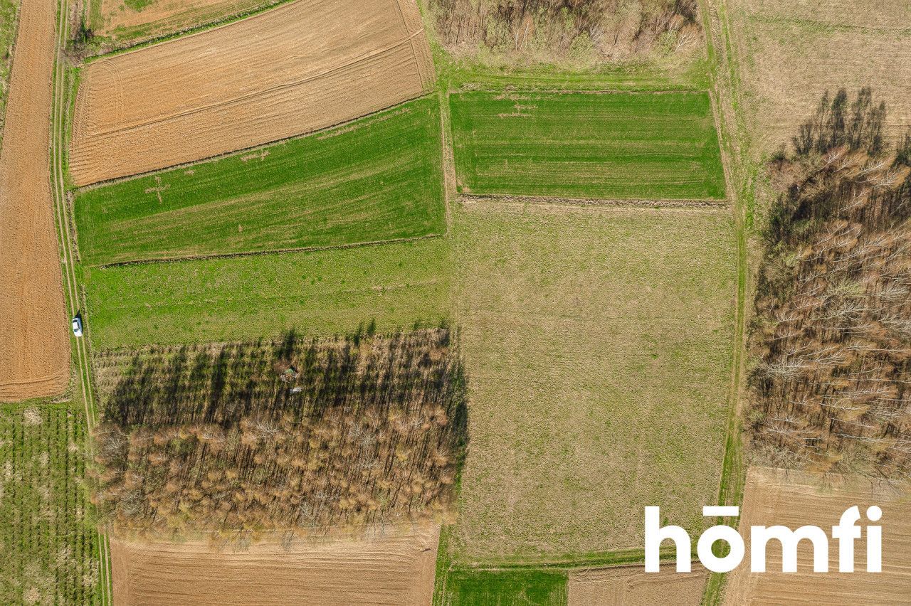 Large plot in a green, scenic area - Ділянка - Продаж - Ropczycko-Sędziszowski, Sędziszów Małopolski / Szkodna