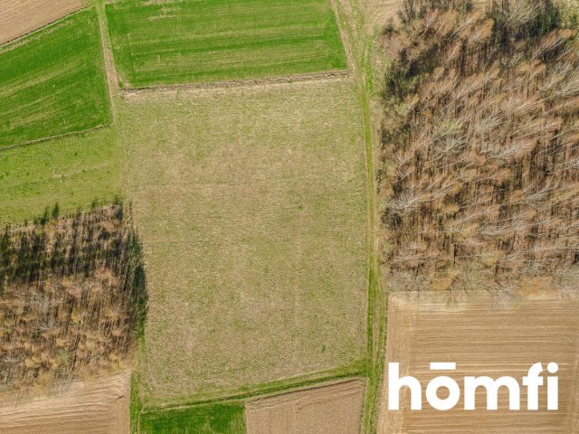 Duża działka w zielonej widokowej okolicy - Działka - Sprzedaż - Ropczycko-Sędziszowski, Sędziszów Małopolski / Szkodna