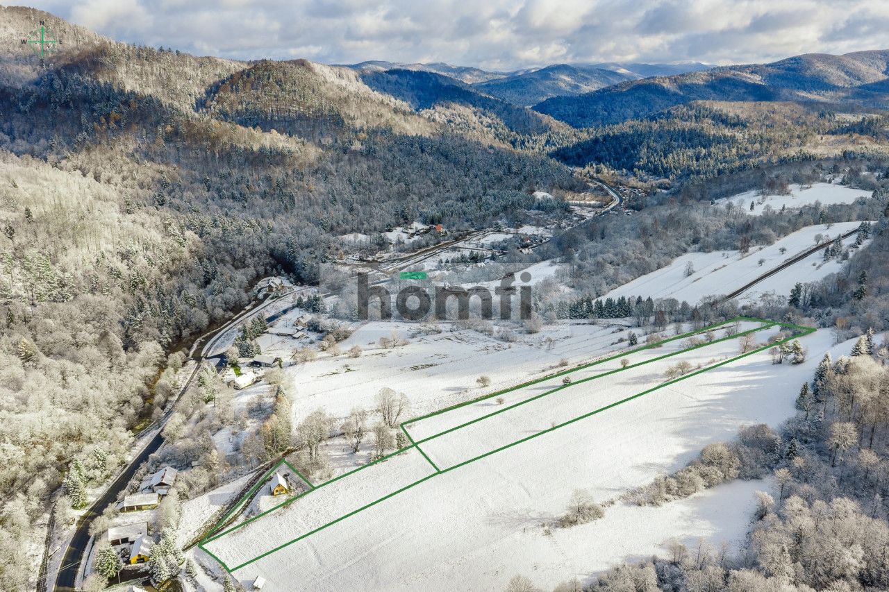 7 plots for sale | 30 ares | 40 ares | - Plot - Sale - Leski, Cisna / Żubracze