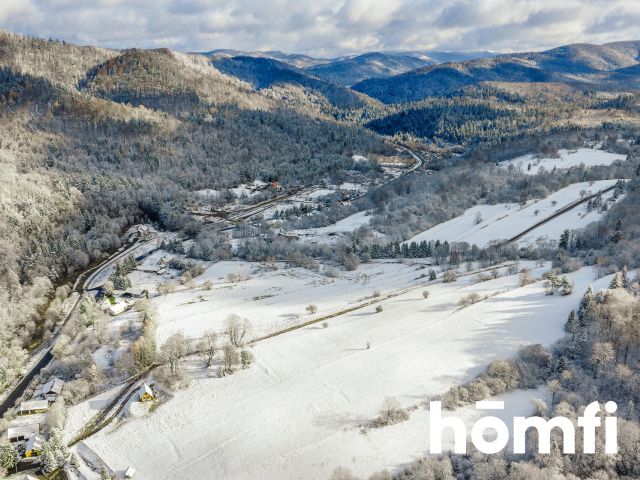 7 plots for sale | 30 ares | 40 ares | - Ділянка - Продаж - Leski, Cisna / Żubracze