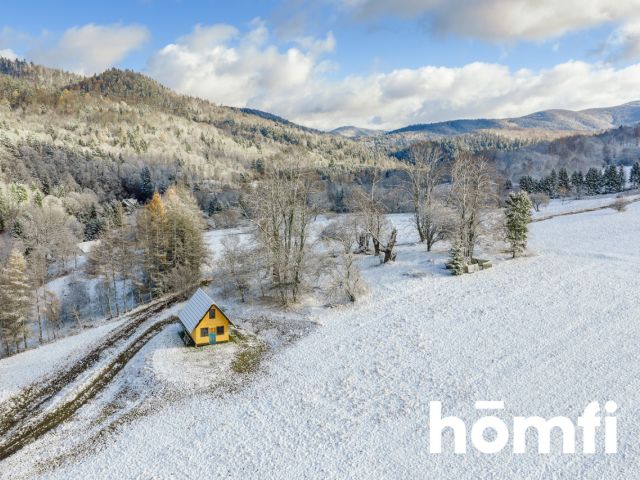 7 plots for sale | 30 ares | 40 ares | - Ділянка - Продаж - Leski, Cisna / Żubracze