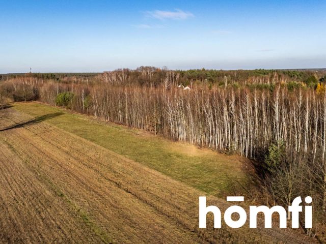 Działki w Dawidowie z WZ - otocz się ciszą - Działka - Sprzedaż - Radomski, Jedlnia-Letnisko / Dawidów
