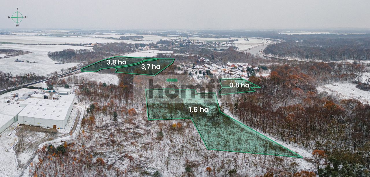 Land 3.7 ha | Single-family housing | Local Development Plan (MPZP) - Plot - Sale - Wołowski, Brzeg Dolny / Pogalewo Wielkie