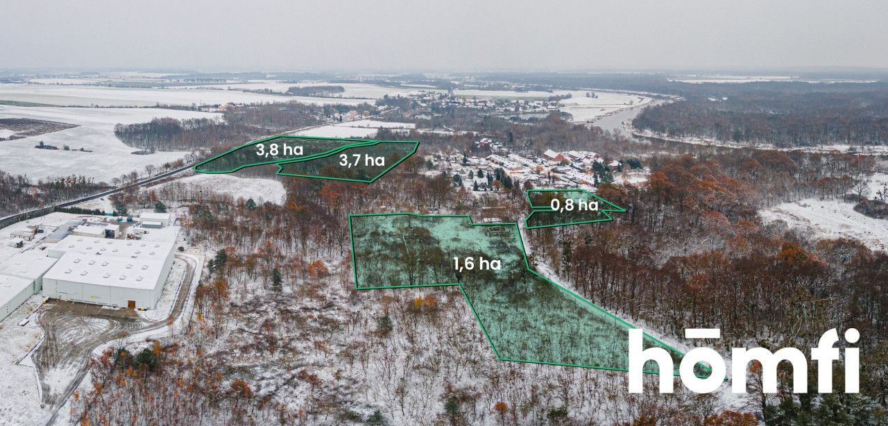 Grunt 3,7 ha | zabudowa jednorodzinna | MPZP - Działka - Sprzedaż - Wołowski, Brzeg Dolny / Pogalewo Wielkie