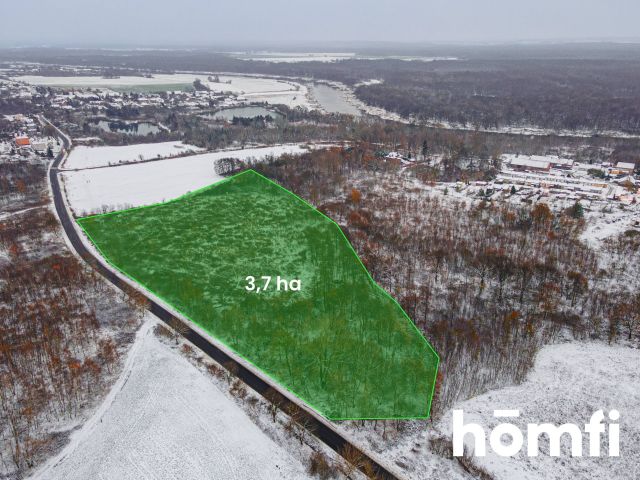 Land 3.7 ha | Single-family housing | Local Development Plan (MPZP) - Plot - Sale - Wołowski, Brzeg Dolny / Pogalewo Wielkie