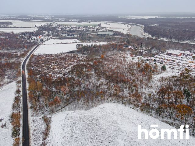 Land 3.7 ha | Single-family housing | Local Development Plan (MPZP) - Plot - Sale - Wołowski, Brzeg Dolny / Pogalewo Wielkie