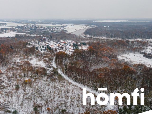 Land 3.7 ha | Single-family housing | Local Development Plan (MPZP) - Plot - Sale - Wołowski, Brzeg Dolny / Pogalewo Wielkie