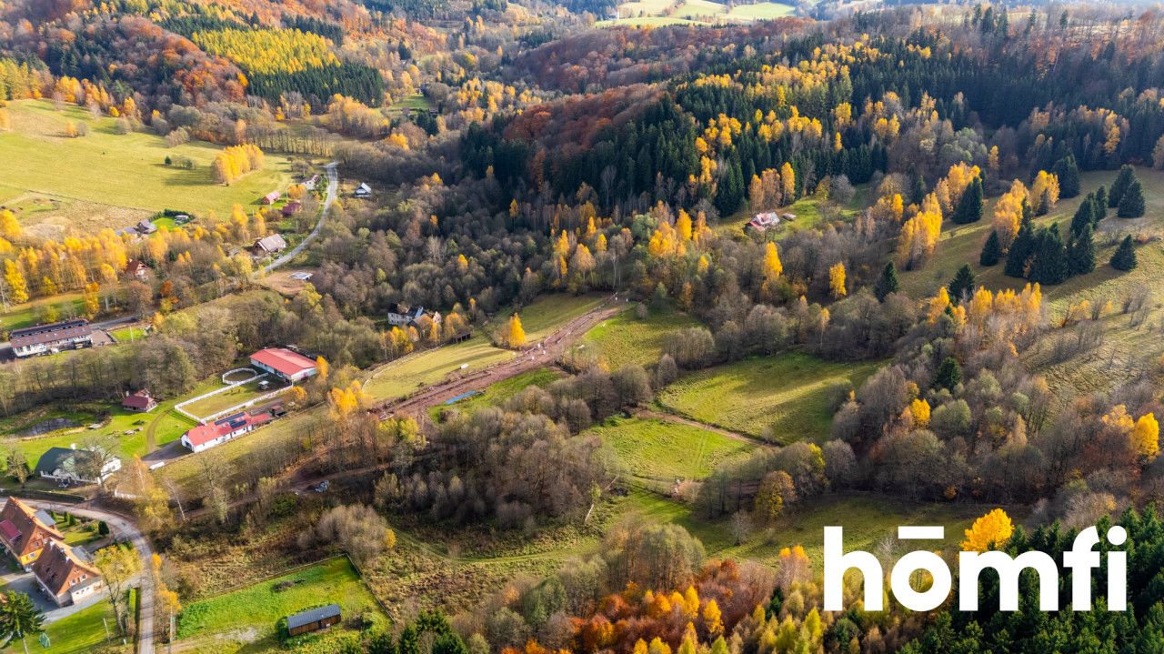 Działki w otoczeniu ciszy i spokoju - Działka - Sprzedaż - Kłodzki, Lewin Kłodzki / Kocioł