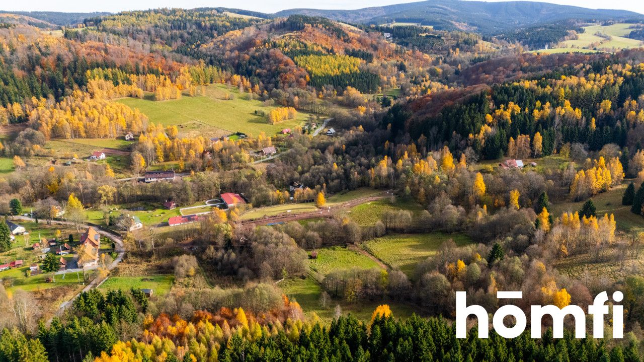 Działki w otoczeniu ciszy i spokoju - Działka - Sprzedaż - Kłodzki, Lewin Kłodzki / Kocioł