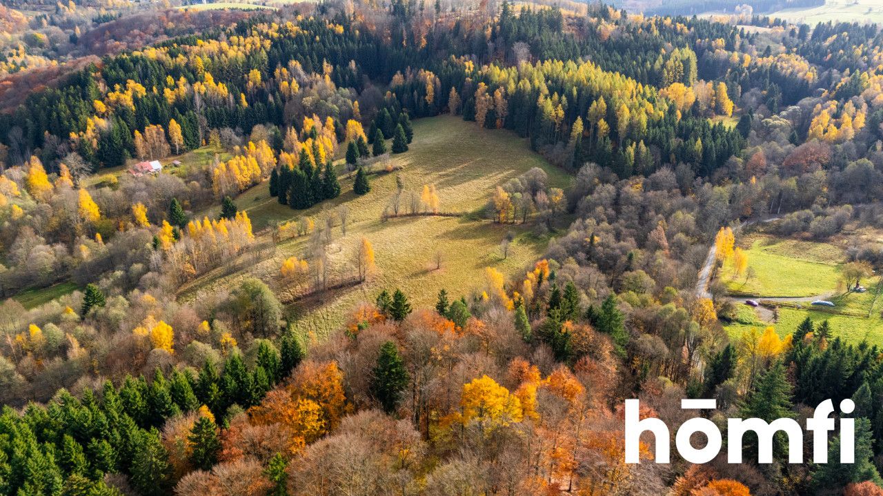 Działki w otoczeniu ciszy i spokoju - Działka - Sprzedaż - Kłodzki, Lewin Kłodzki / Kocioł
