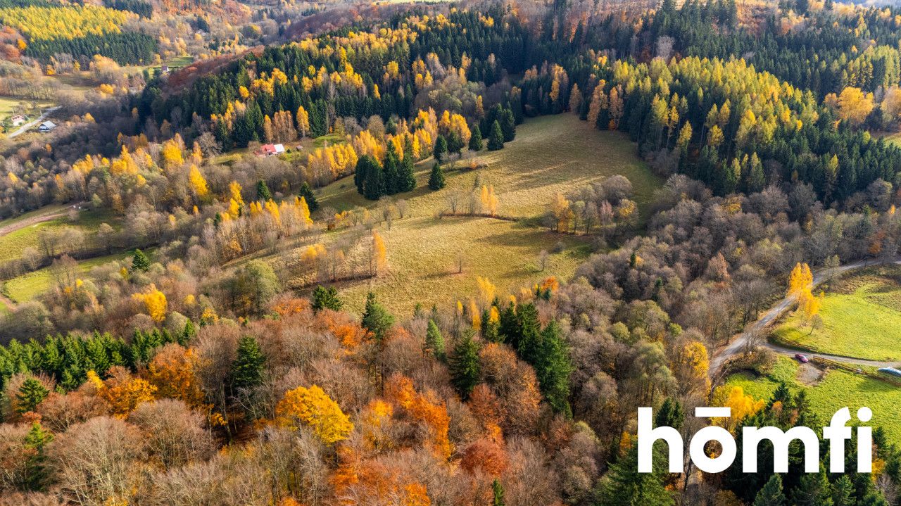 Działki w otoczeniu ciszy i spokoju - Działka - Sprzedaż - Kłodzki, Lewin Kłodzki / Kocioł