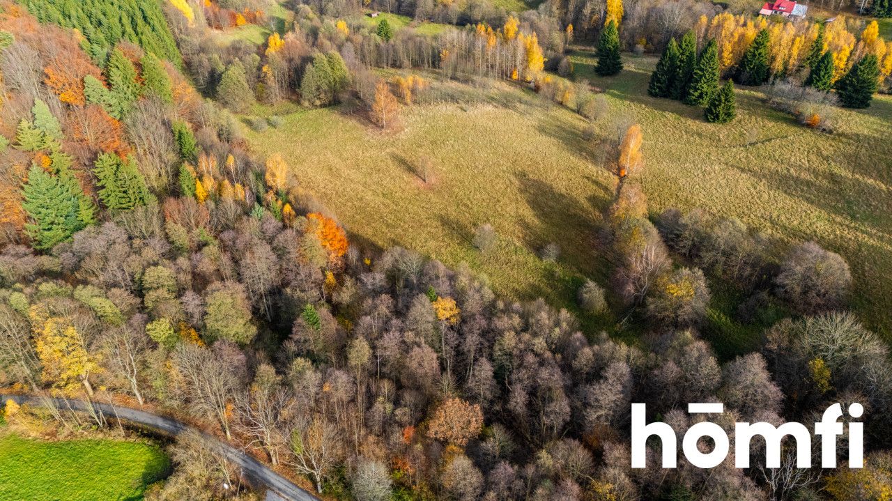 Działki w otoczeniu ciszy i spokoju - Działka - Sprzedaż - Kłodzki, Lewin Kłodzki / Kocioł