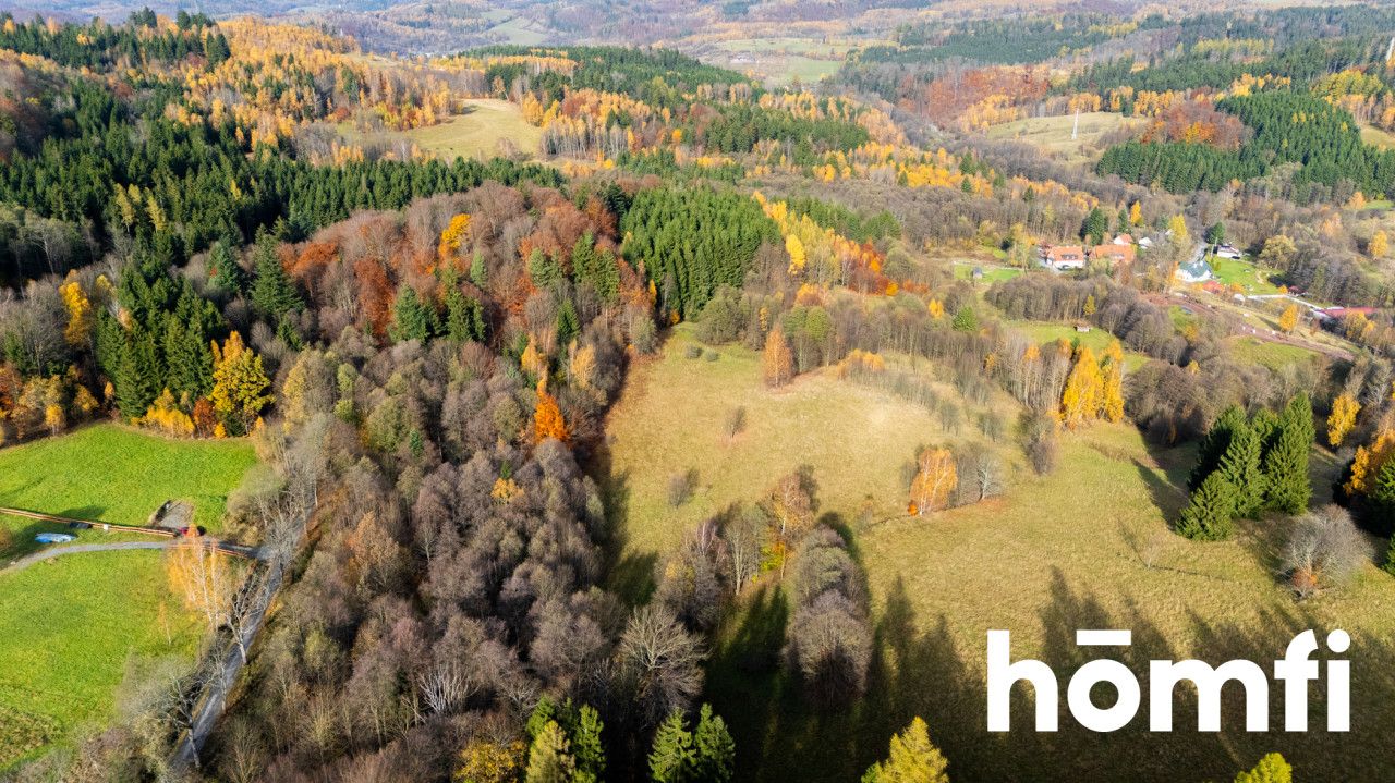 Działki w otoczeniu ciszy i spokoju - Działka - Sprzedaż - Kłodzki, Lewin Kłodzki / Kocioł