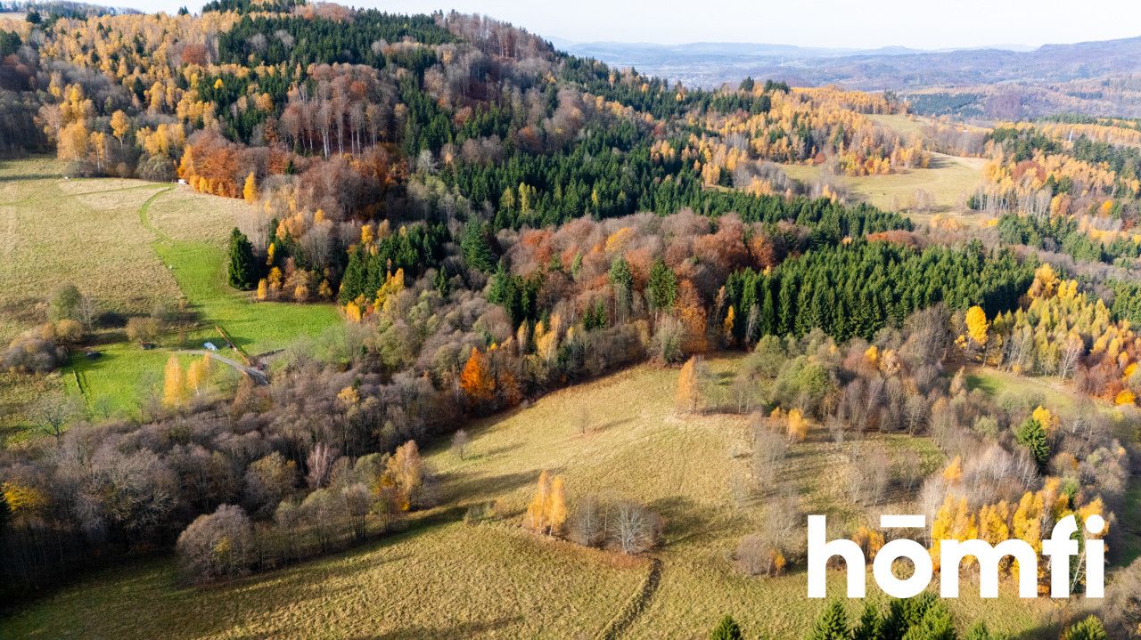 Działki w otoczeniu ciszy i spokoju - Działka - Sprzedaż - Kłodzki, Lewin Kłodzki / Kocioł
