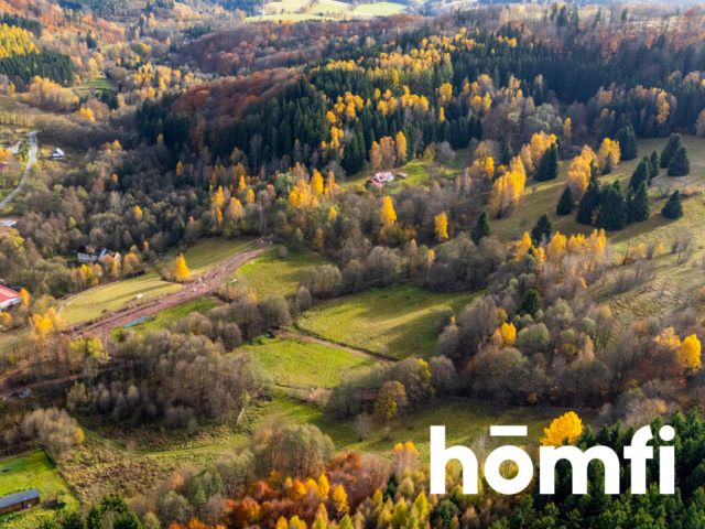 Działki w otoczeniu ciszy i spokoju - Działka - Sprzedaż - Kłodzki, Lewin Kłodzki / Kocioł